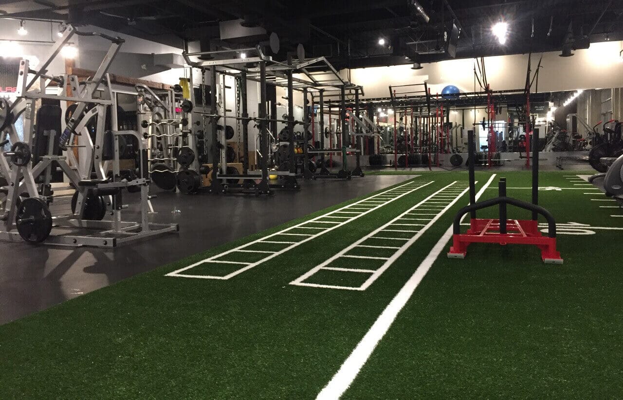 PMF Ultimate 15 Day Gym Trial