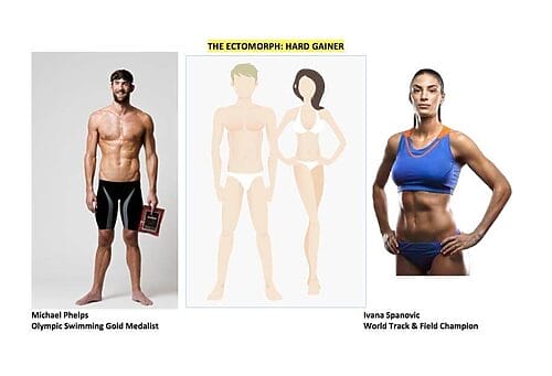 Ectomorph-Example.jpg