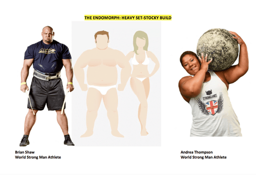 Endomorph-Image-